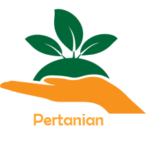 Category
